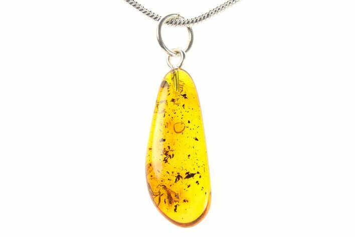 Polished Baltic Amber Pendant (Necklace) - Contains Fly! #288856